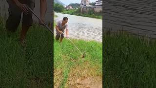 I can’t catch it fishing fishspecies carpfishing trapfish [upl. by Yanel273]