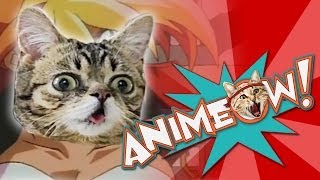 Cats Throw Exploding Kitten in DIRTY PAIR Animeow Ep 2 [upl. by Hollister476]