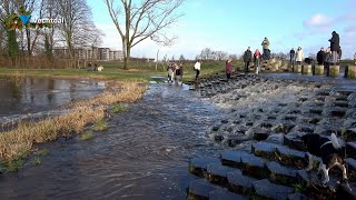 Retentiegebied in Hardenberg loopt vol met overtollig vechtwater [upl. by Sheya754]