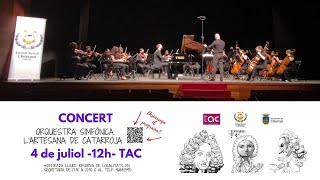 A Vivaldi Concert per a cordes en D Major Orquestra Simfònica l’Artesana de Catarroja [upl. by Trill687]