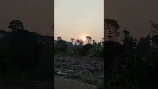 Pagi hari matahari bersinar terang shortvideo matahari pagi [upl. by Cummine]