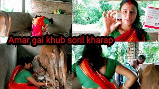 Hatat kare amar gai tar khub soril kharap tai Doctor ke dakte holo kalyanivlogs5548 cow milkig [upl. by Assiron]