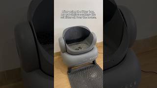 best litter box self cleaning Neakasa Smartcatlitterbox Raisecat cat catlitter pet neakasa [upl. by Ledba]