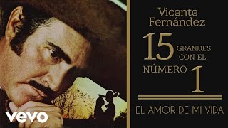 Vicente Fernández  El Amor de Mi Vida Tema Remasterizado Cover Audio [upl. by Harvard]