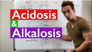 Acidosis and Alkalosis MADE EASY [upl. by Goldi]