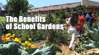 The Benefits of School Gardens [upl. by Nnaitsirhc]