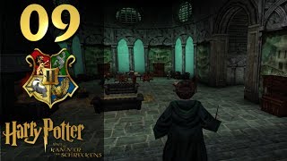 Lets Play Harry Potter und die Kammer des Schreckens HDGermanBlind 09 Mission Schlange [upl. by Enasus831]