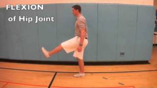 B14 Compare movements of the hip joint and knee joint [upl. by Parrie]