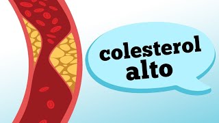 Orientações Nutricionais para Hipercolesterolemia colesterol alto [upl. by Ahsieki317]