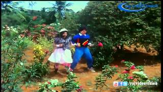 Chinna Raja Chinna Raja HD Song [upl. by Rambert]