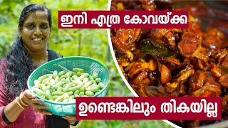 Kovakka Achar amp Kovakka Kondattam Recipe in Malayalam  കോവയ്ക്ക അച്ചാർ കോവയ്ക്ക കൊണ്ടാട്ടം [upl. by Ehttam]