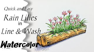 Easy line and wash watercolor floral  pen amp wash lilies watercolor painting beginner drawingart [upl. by Suoicserp272]