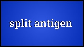 Split antigen Meaning [upl. by Damiani409]