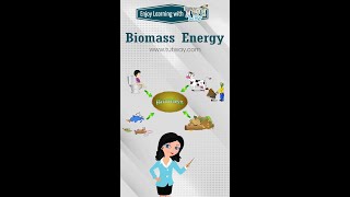 Biomass Energy  Examples of Renewable Sources of Energy  Science shorts [upl. by Annirtak469]