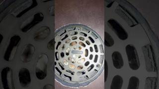 Fast Food Floor Drain Fix – Clearing the Clog amp Stopping Sewer Smell asmr diy fyp shorts short [upl. by Farhsa766]