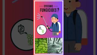 Systemic Fungicide [upl. by Adlitam]