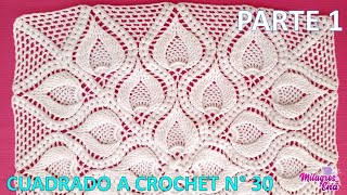 PARTE 1 Como tejer el Cuadro o cuadrado N° 30 a crochet en punto de hojas relieves y espigas [upl. by Keslie783]