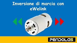 ewelink relè dual inversione di marcia🇮🇹 [upl. by Ees]