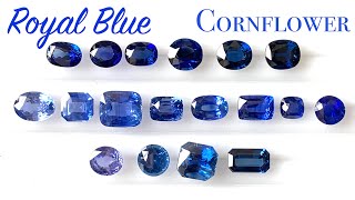 Royal blue or Cornflower Blue Sapphire Clarification and understanding color of sapphires [upl. by Binah747]