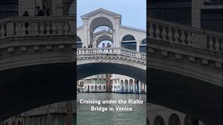 Cruising under the Rialto Bridge in Venice [upl. by Linders819]