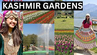 KASHMIR GARDENS AND SHANKARACHARYA Hills SHIVA TEMPLE [upl. by Nnalyrehc]