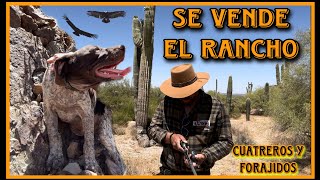 CUATREROS Y FORAJIDOS PARTE 13 RANCHO A LA VENTA ACABAN CON EL GANADO… [upl. by Crispen]