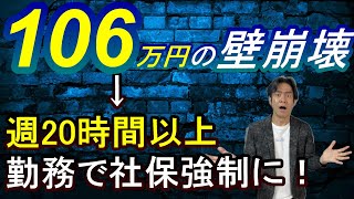 【超悲報】年収106万円の社会保険・扶養の壁崩壊がほぼ決定！130万の壁も実質ほぼ崩壊で社保負担大幅増に！手取り給与は激減します。。 [upl. by Armilda823]