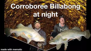 Corroboree Billabong at night [upl. by Hett123]