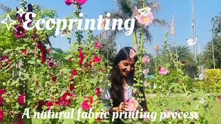 Ecoprinting 🌸🌿A natural printing process [upl. by Friedland]