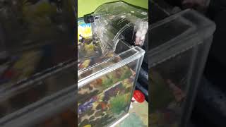 Review Filter Aquarium External Seri XP06 Design Simple dan Suara mesin halus [upl. by Ennelram498]