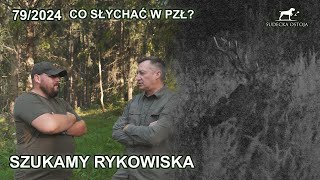 Szukamy rykowiska po sąsiedzku  co słychać w PZŁ  SUDECKA OSTOJA 792024 Stag Hunting in Poland [upl. by Zilada]