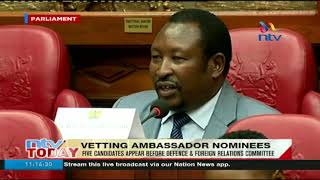 National Assembly vets 5 candidates nominated for ambassadors [upl. by Elton]