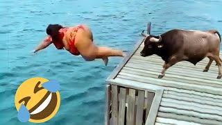 TRY NOT TO LAUGH 🤣🤣 Best Funny Videos compilation  Fail Of Videos 😂 P32 [upl. by Beaumont710]