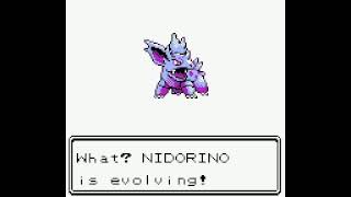 Shiny Nidoking evolution from Nidorino  Pokémon Crystal [upl. by Nived]