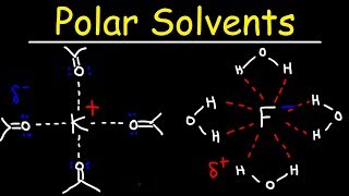 Polar Protic Solvents and Polar Aprotic Solvents For SN1 amp SN2 Reactions [upl. by Dorweiler60]