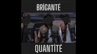 VISION Briganté  Quantité [upl. by Minna900]