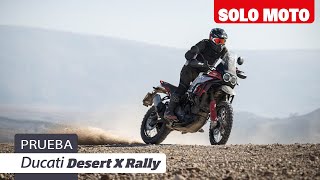 Ducati DesertX Rally  Prueba  Review en español [upl. by Claud]