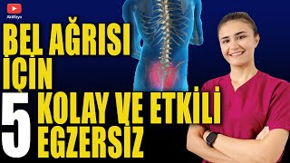 BEL AĞRISI İÇİN 5 KOLAY EGZERSİZ Bel fıtığı Bel düzleşmesi için [upl. by Aubrey]