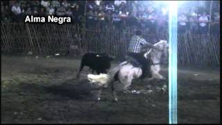 Video Choky 2012  Leyenda Taurina [upl. by Nisen]