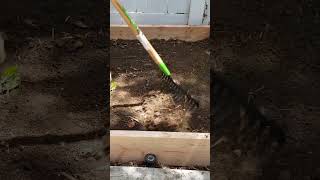 Raised Bed Ideas  Cheap amp Easy Raised Bed Garden EZ  shorts [upl. by Ojyllek]