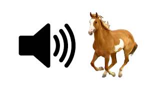 Horse  Sound Effect [upl. by Willi]