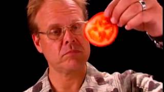 Shun Knife Anatomy  Alton Brown Shares why Shun Knives are His Favorite [upl. by Tacklind777]