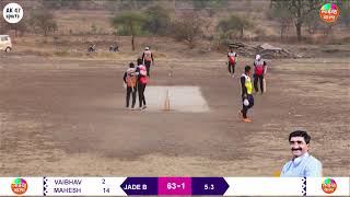 🔴Live WSCC  Wagholi Society Cricket Council  2024  day 5 [upl. by Rodmann200]