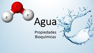 Agua Propiedades bioquímicas [upl. by Mhoj]