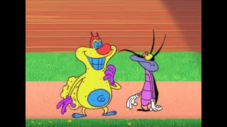 हिंदी Oggy and the Cockroaches  All Out Of Shape S02E86  Hindi Cartoons for Kids [upl. by Attennyl]