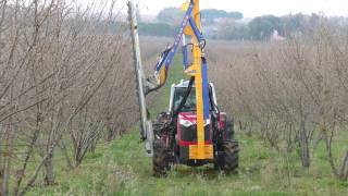 Nocciolo  Potatura meccanica  Mechanical pruning of hazelnut [upl. by Acireed999]