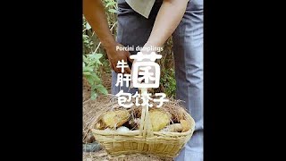 How to make dumplings with porcini mushroomsForaging wild edibles mushrooms [upl. by Nomit30]