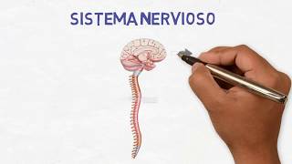 Neurología para pacientes  ¿Qué hacen los neurólogos [upl. by Butterfield]