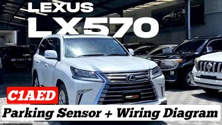 C1AED Rear Sensor Communication Circuit Lexus Lx570  Wiring Diagram  Solution 💯 🔥 [upl. by Tarrance]