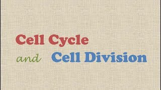 Cell Cycle and Cell Division [upl. by Oam274]